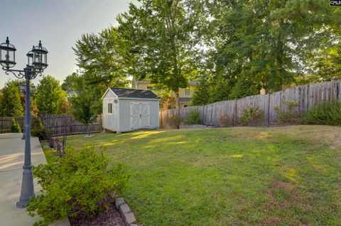 A home in Chapin