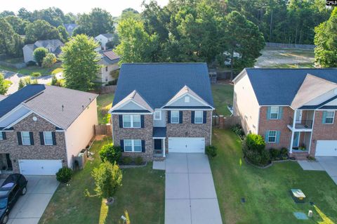 A home in Chapin