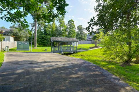 A home in Chapin