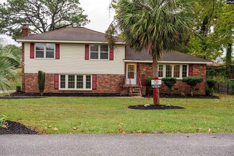 Photo of 2345 White Pine Road, Columbia, SC 29223 (MLS # 618543)