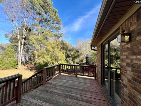 A home in Chapin