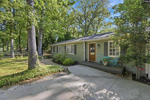 1047 Hilton Point Road Chapin Sc 29036