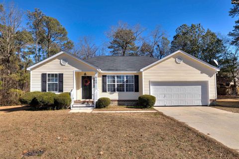 Photo of 188 Cane Brake Dr Dr, Columbia, SC 29223 (MLS # 625346)
