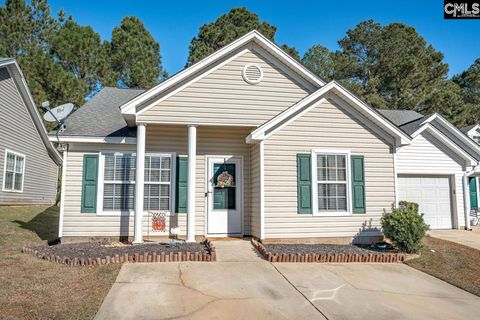 129 Merowey Court Chapin SC 29036