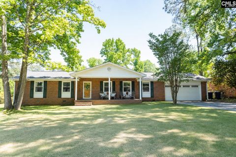 Photo of 215 Lingstrom Lane, Columbia, SC 29212 (MLS # 633178)