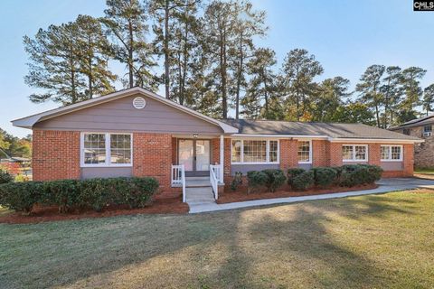 Photo of 216 Meadowbury Drive, Columbia, SC 29203 (MLS # 621280)