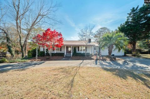 Photo of 851 Rawl Road, Lexington, SC 29072 (MLS # 622408)