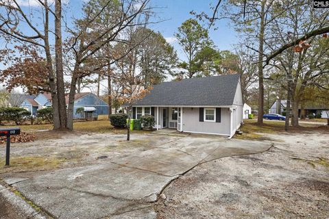 Photo of 112 Raintree Lane, Hopkins, SC 29061 (MLS # 623200)