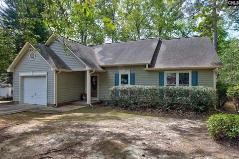 Photo of 1113 Riverwalk Way, Irmo, SC 29063 (MLS # 631237)