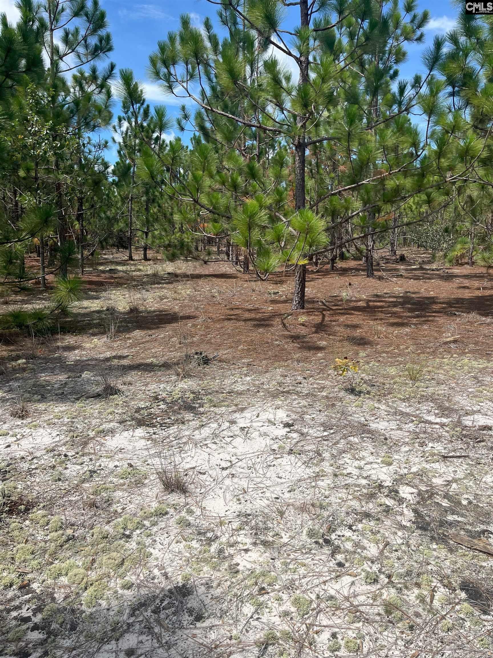 PPF 14 Payne Pond Road Unit PPF 14, Westville, SC, 29175