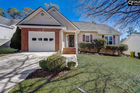 Photo of 118 Green Rose Road, Columbia, SC 29229 (MLS # 618753)