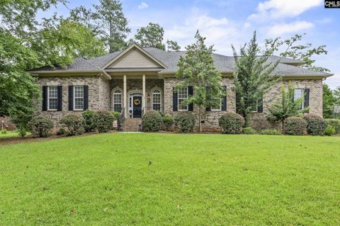 Photo of 302 Lookout Hill Drive, Chapin, SC 29036 (MLS # 612307)
