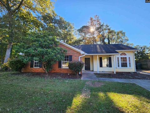 Photo of 36 Saint Albans Road, Irmo, SC 29063 (MLS # 621367)
