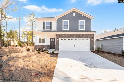 Photo of 201 Boseman Rd, Irmo, SC 29063 (MLS # 622044)