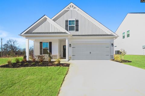 Single Family Residence in Chapin SC 213 Chapin Place Way.jpg