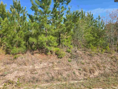 952 Mt Zion Road Camden Sc 29020