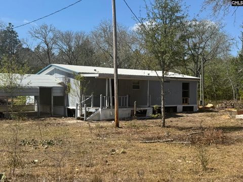 Photo of 230 Ann Street, Pelion, SC 29123 (MLS # 630262)