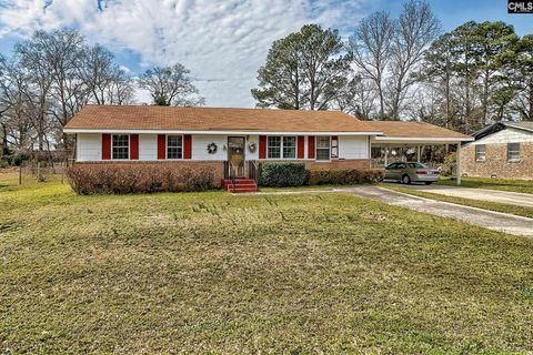 Photo of 211 Woodvine Drive, Lexington, SC 29072 (MLS # 628272)