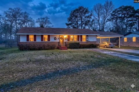 Photo of 211 Woodvine Drive, Lexington, SC 29072 (MLS # 628272)