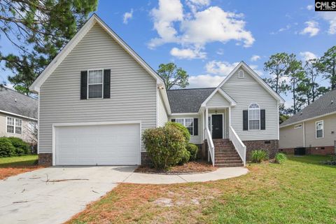 Photo of 205 Long Needle Road, Columbia, SC 29229 (MLS # 624755)