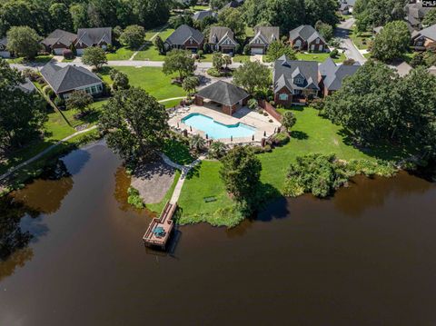 A home in Chapin