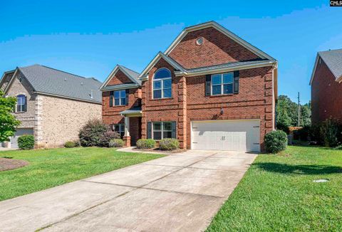 A home in Chapin