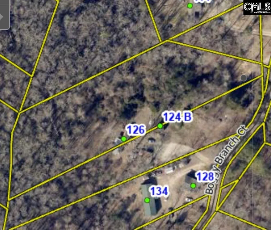124 Boggy Branch Ct. Ct