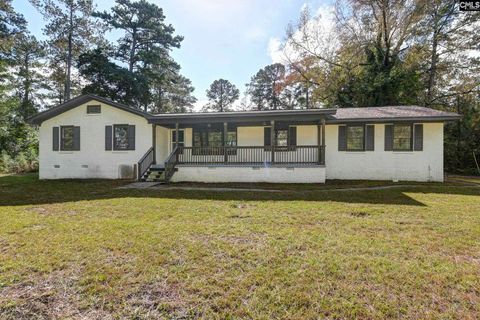 A home in Chapin