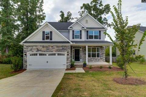 Photo of 357 Southberry Way, Lexington, SC 29072 (MLS # 617543)