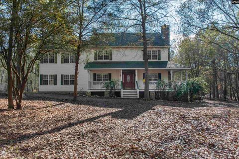 Photo of 1123 Loner Road, Blythewood, SC 29016 (MLS # 623216)