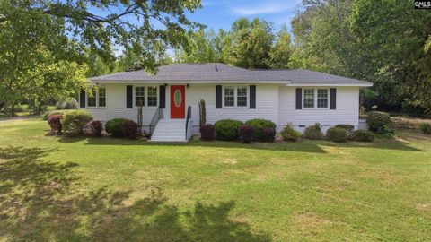 Photo of 13139 Charleston Augusta Road, Denmark, SC 29042 (MLS # 631311)