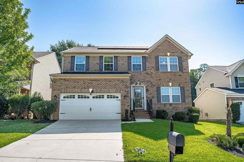 Photo of 181 Palm Street, Chapin, SC 29036 (MLS # 642432)