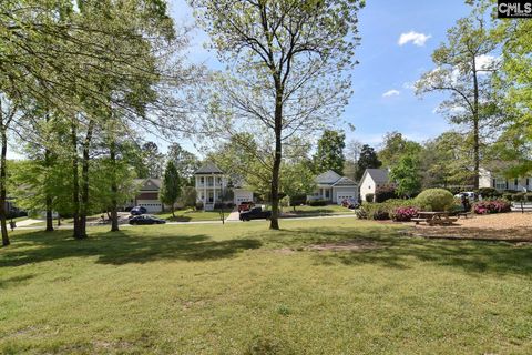 A home in Irmo