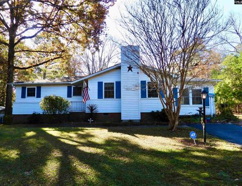 Photo of 5904 Old Leesburg Road Extension, Hopkins, SC 29061 (MLS # 621724)