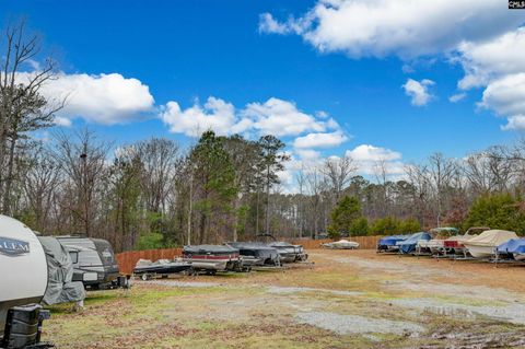 A home in Chapin