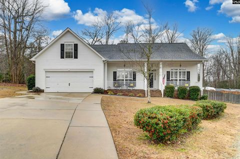 A home in Chapin