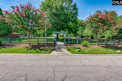 A home in Irmo