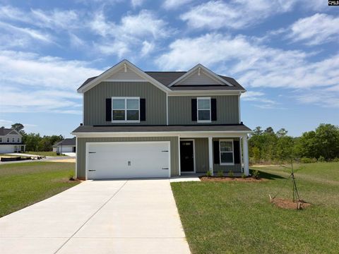 Photo of 173 Calm Citadel Drive, Pelion, SC 29123 (MLS # 631291)