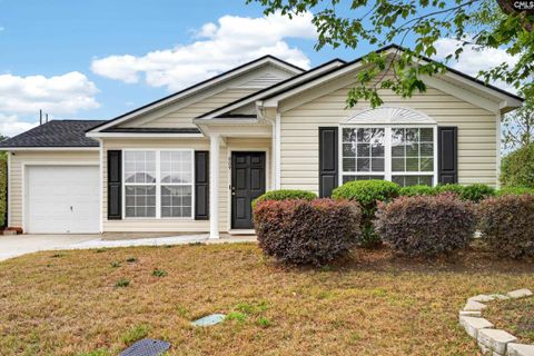 Photo of 809 Wing Stripe Court, Columbia, SC 29229 (MLS # 633109)