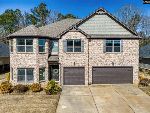 Photo of 303 Lever Bottom Court, Chapin, SC 29036 (MLS # 629181)