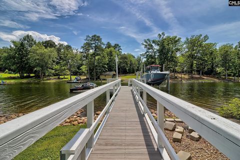 A home in Chapin