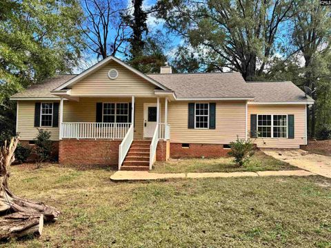 A home in Chapin