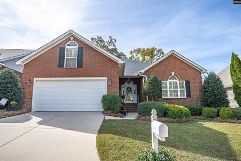 A home in Chapin