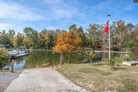 A home in Chapin