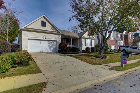 Photo of 416 Buckthorne Road, Lexington, SC 29072 (MLS # 620717)