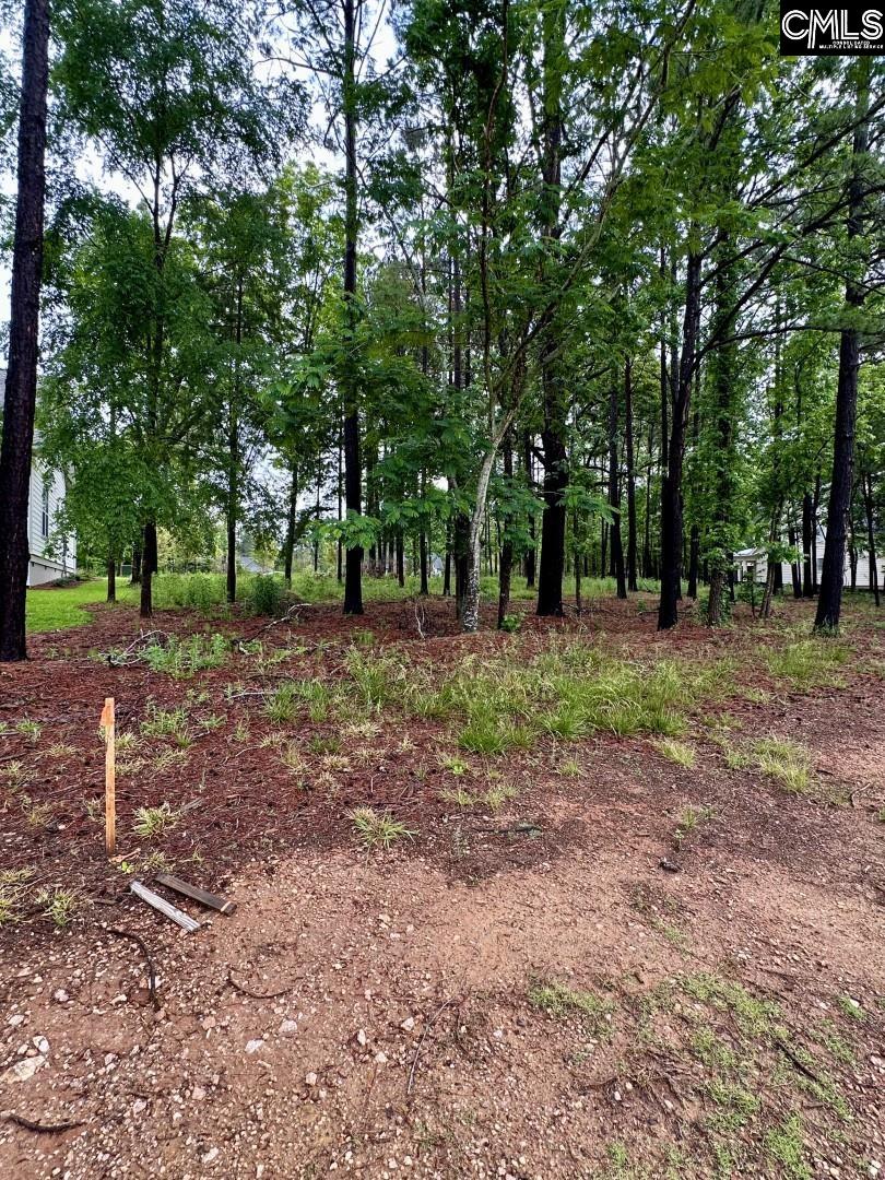 513 Misty Banks Drive