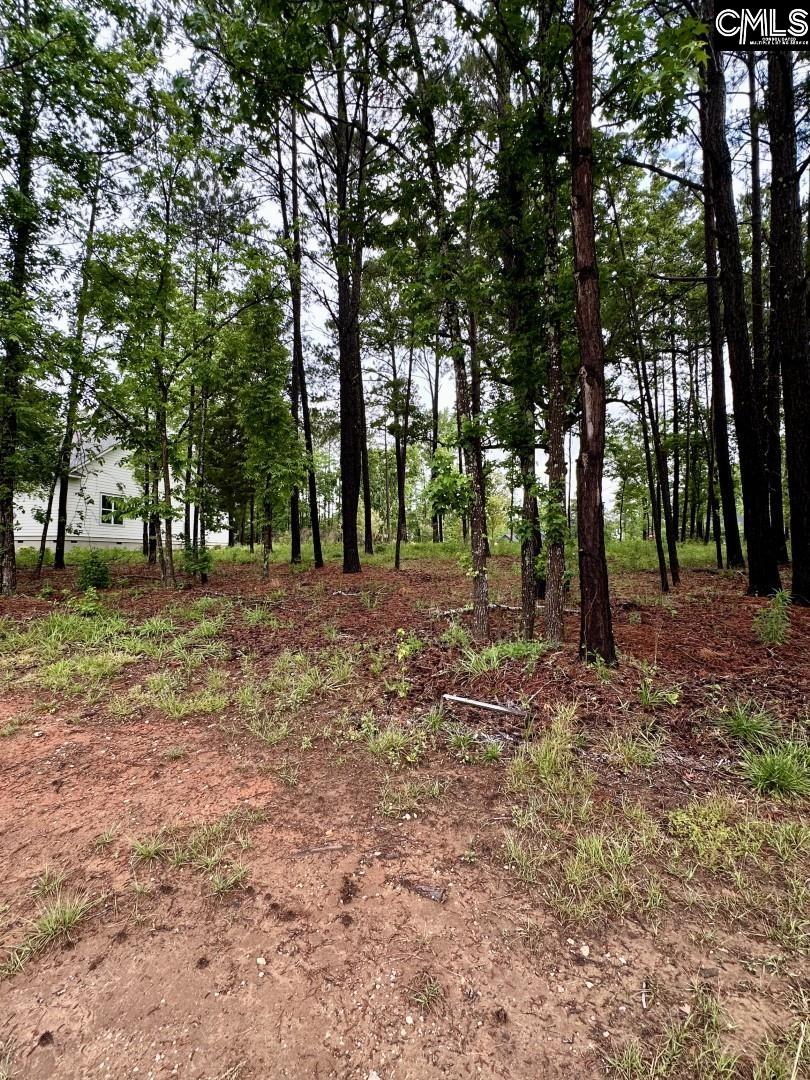 513 Misty Banks Drive