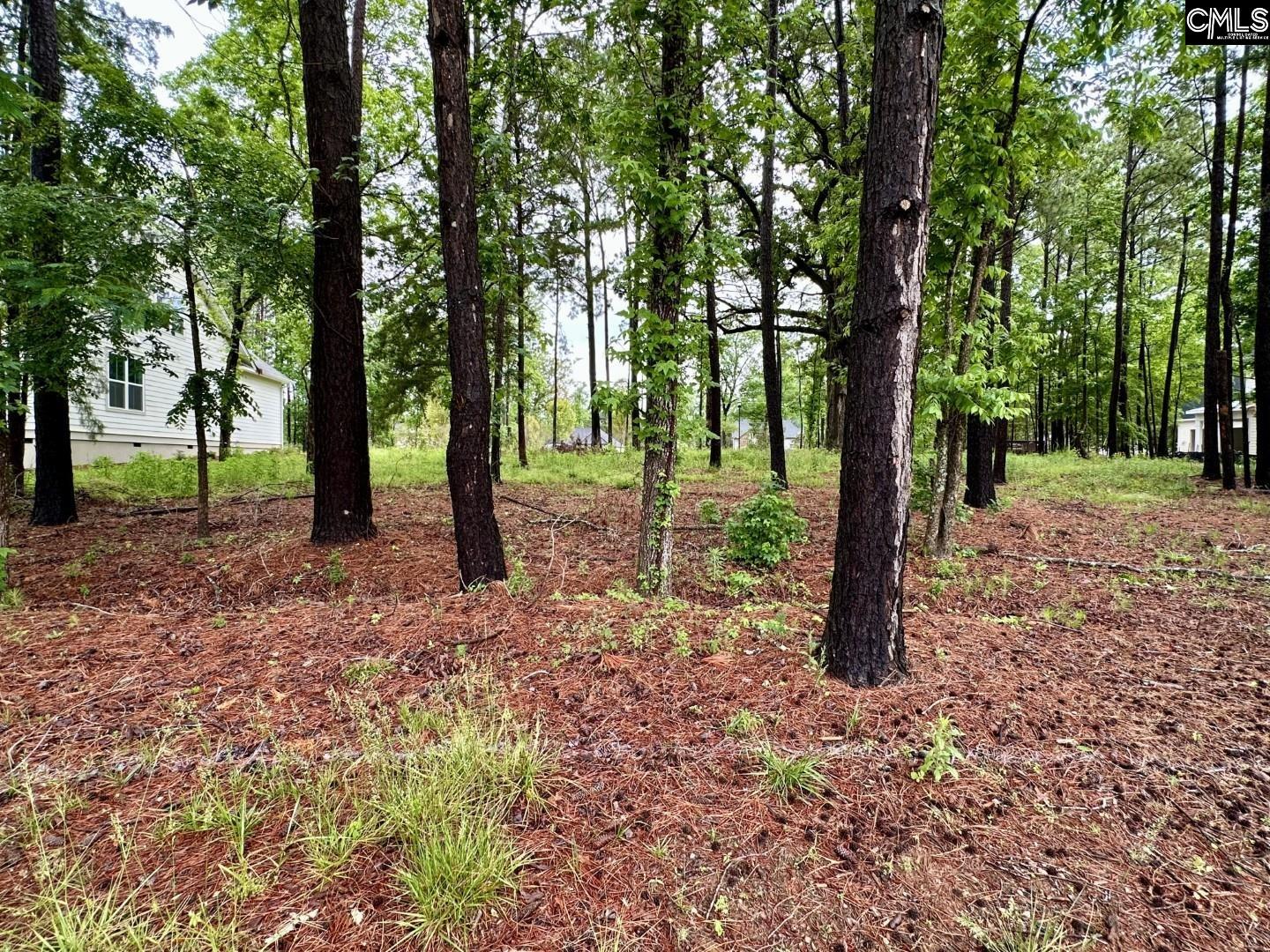 513 Misty Banks Drive