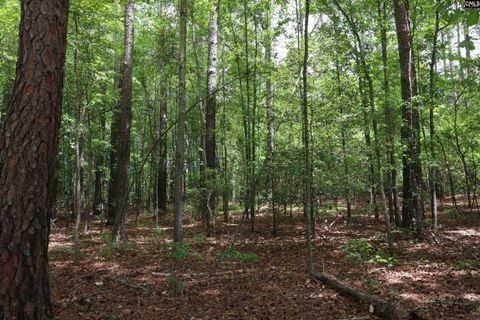 1091 Pine Grove Road Leesville Sc 29070