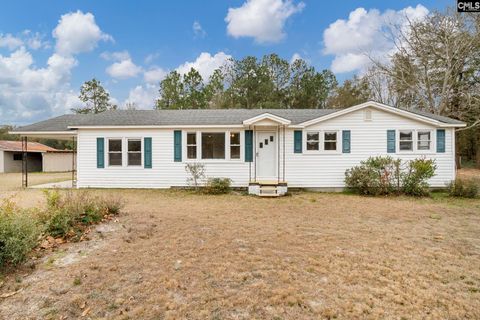 Single Family Residence in Wagener SC 4426 Festival Trail Road.jpg